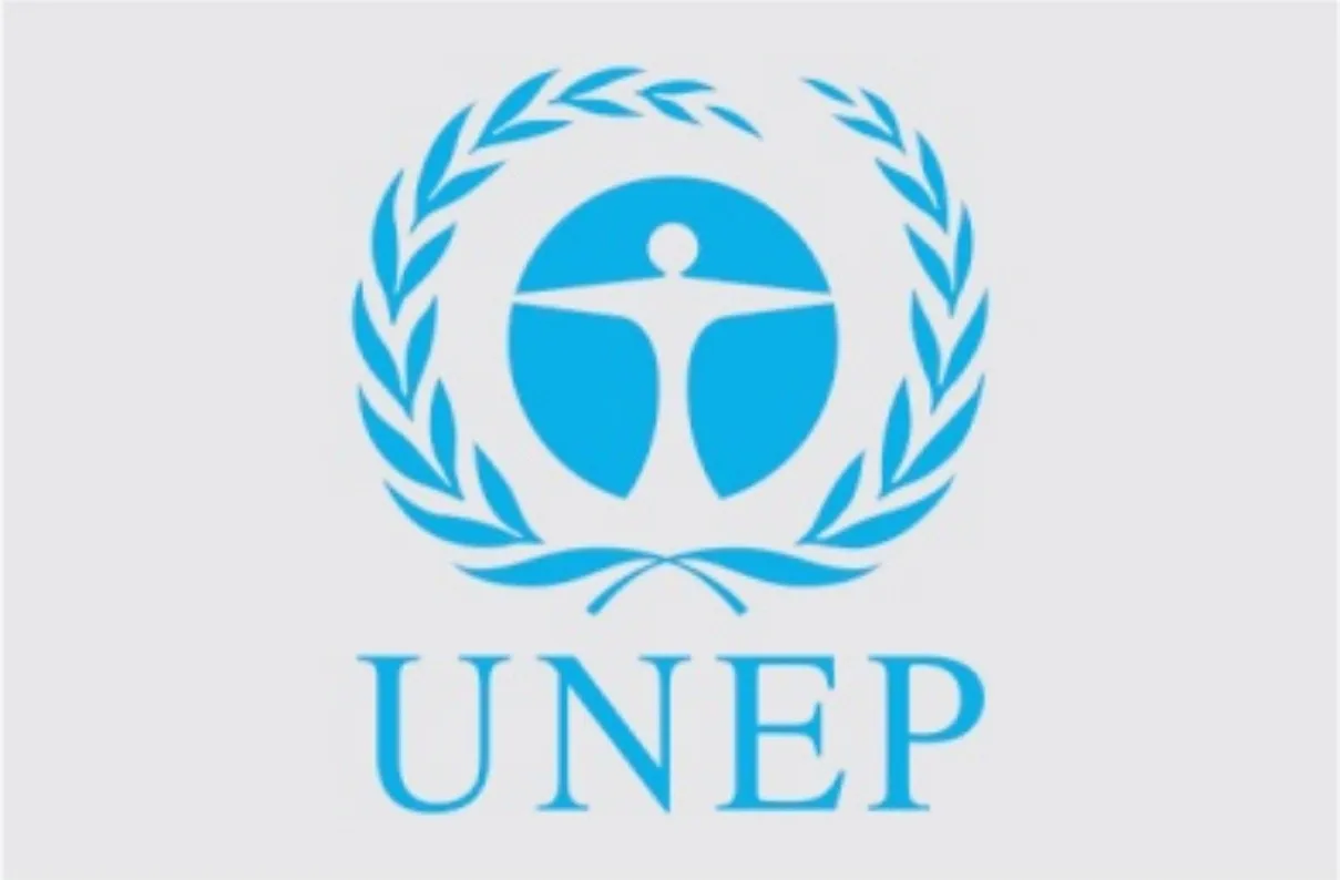 2014 Granted Observer Status to the United Nations Environment Assembly of UNEP