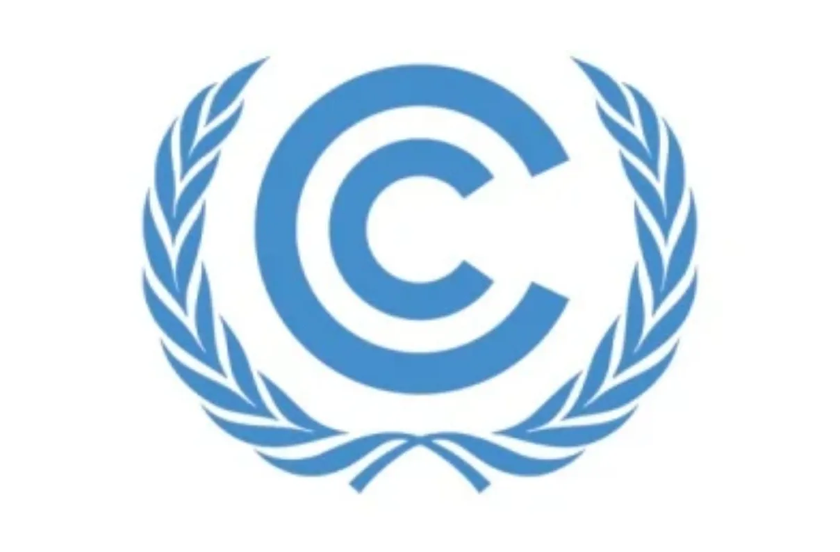 2009 Accredited observer organization to UNFCCC