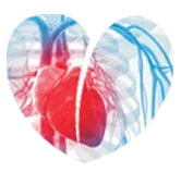 3D Heart Care (CAD)