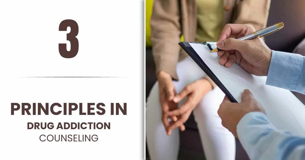 Principles In Drug Addiction Counselling