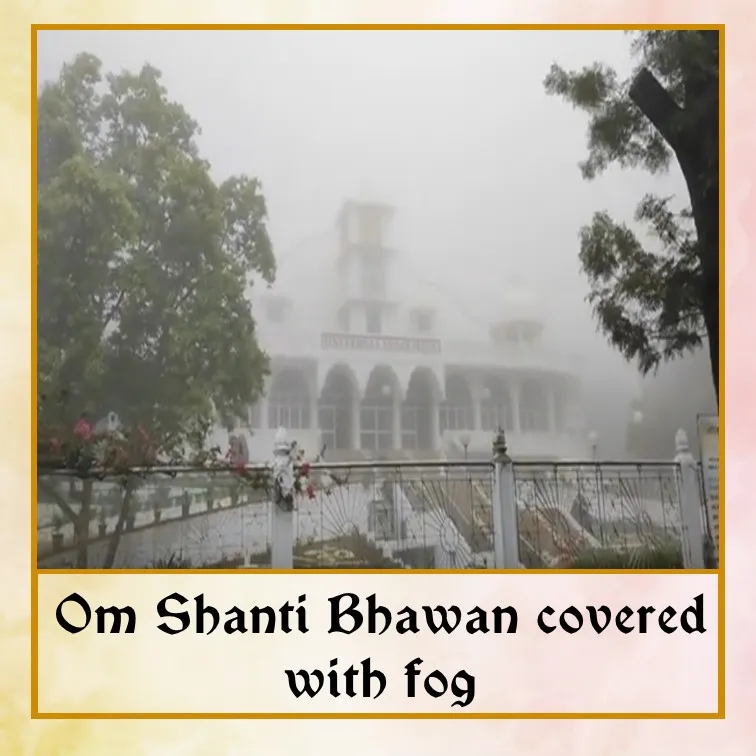 Foggy - Eng.jpg