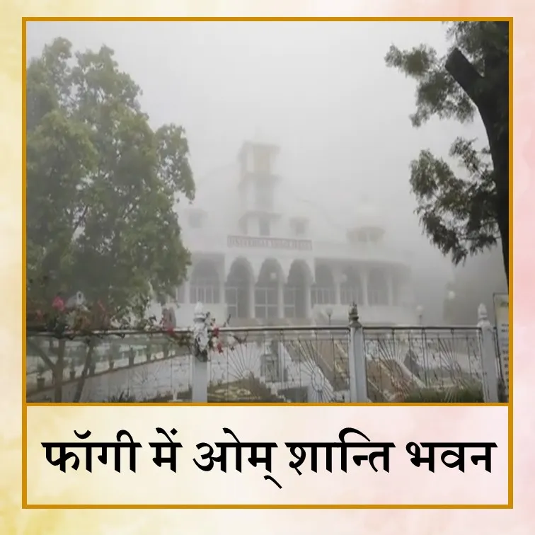 Foggy - Hin.jpg