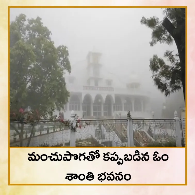 Foggy - Tel.jpg