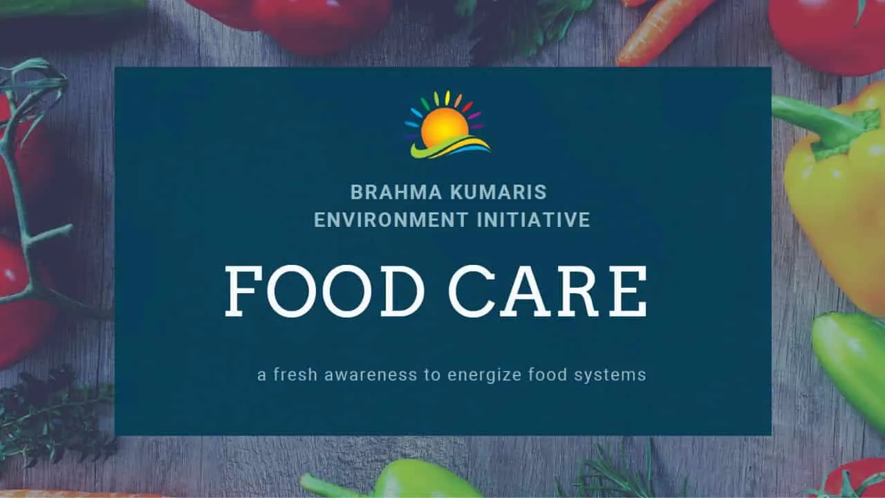 Food Care