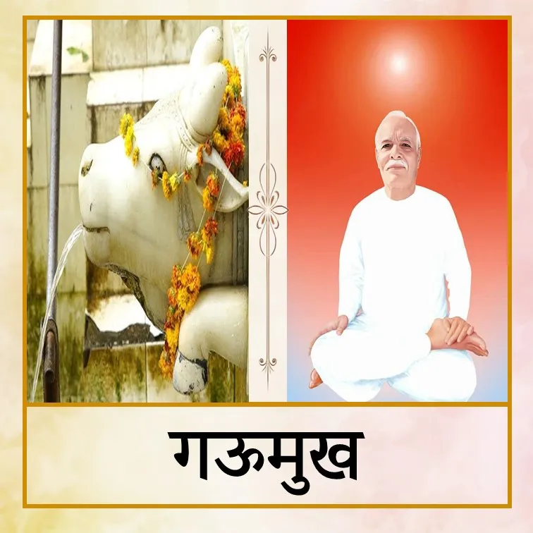 Gaumukh - Hin.jpg