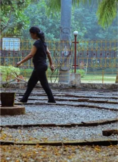 Health Promoting Gardens 03