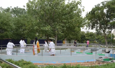Health Promoting Gardens 04