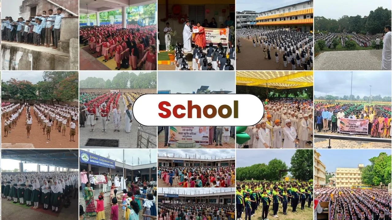 Schools