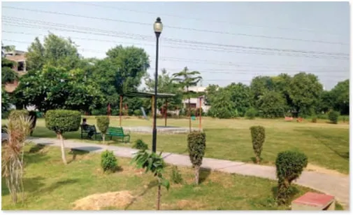 Sector 15, Gurugram