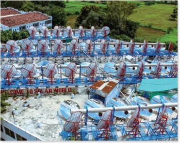 Solar steam cooking systems