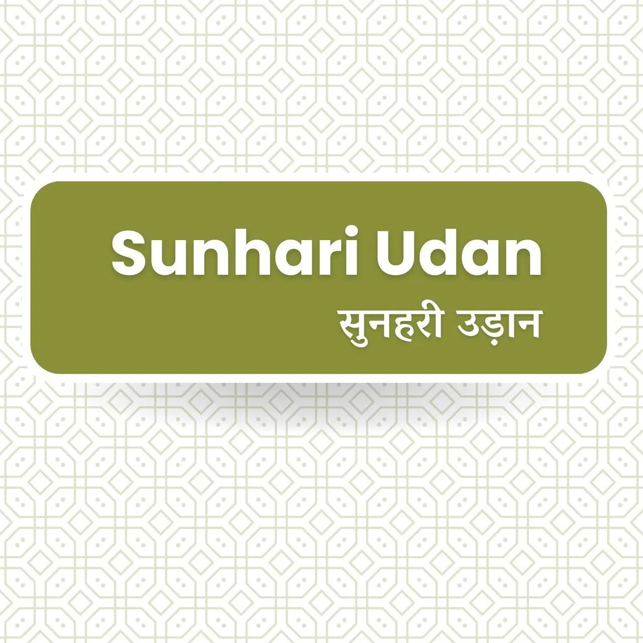 Sunhari Udan
