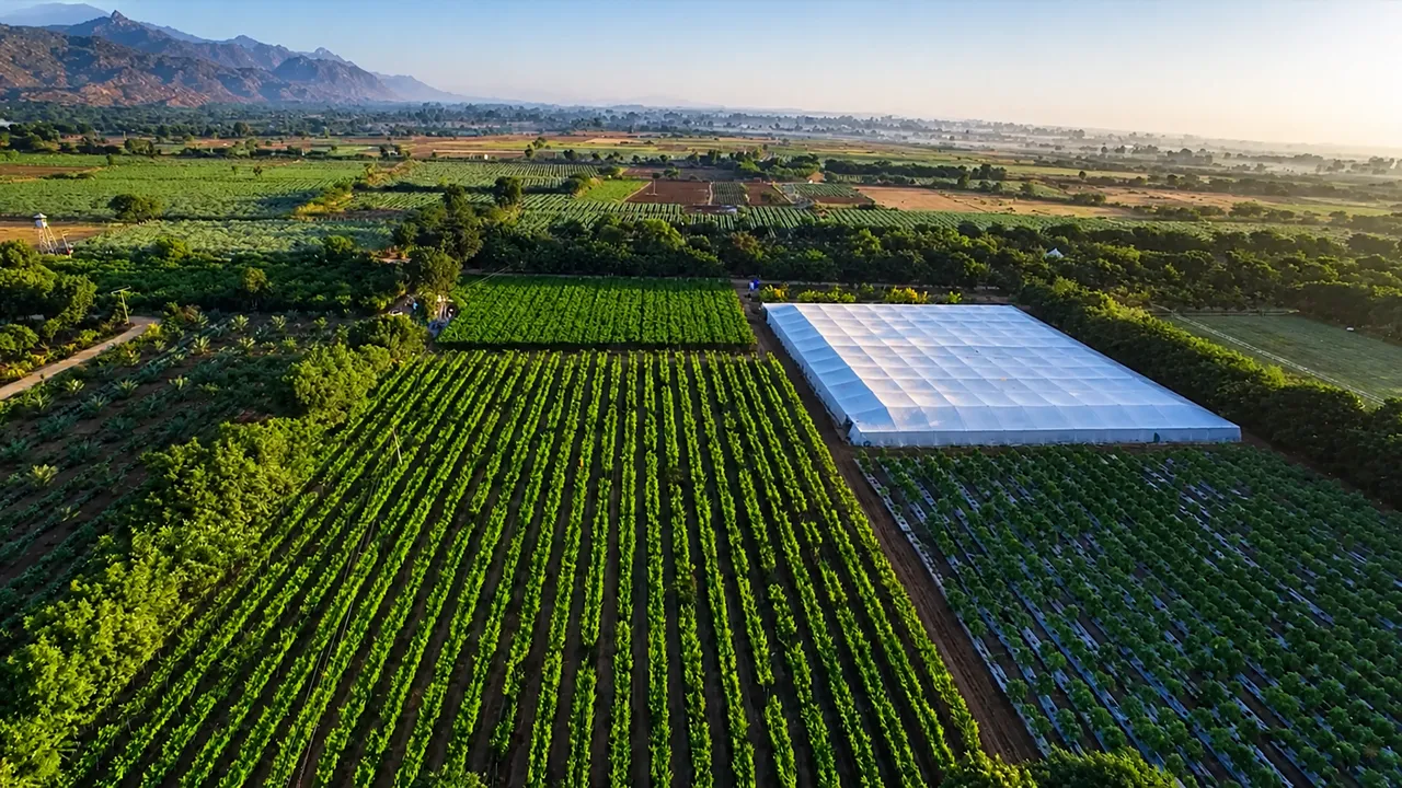 Tapovan - Organic Farms