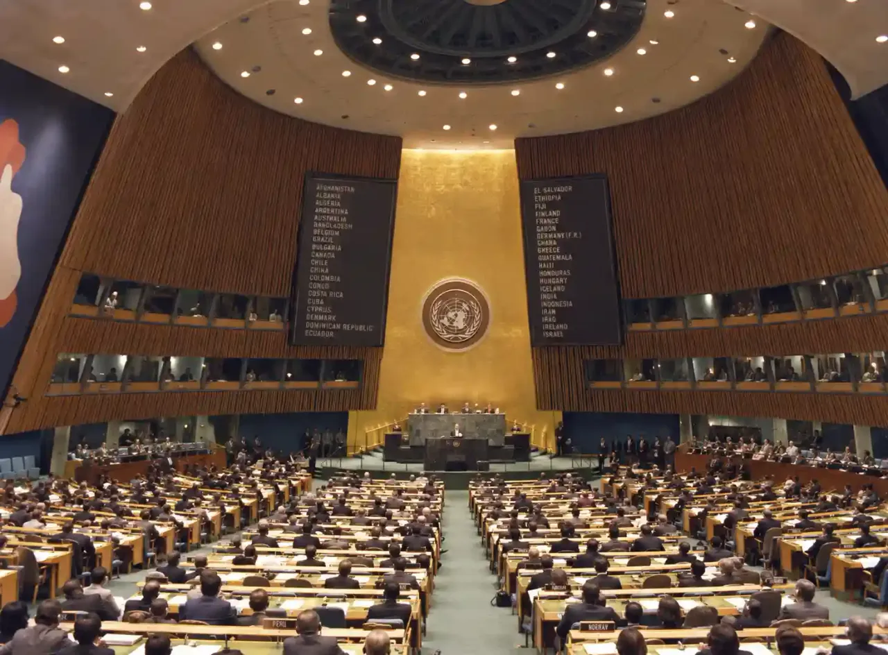 Nirwair Bhaijee at the United Nations or an international delegation