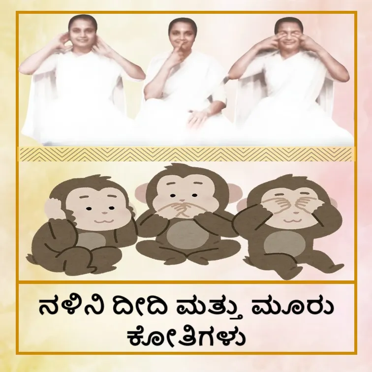 nalini_didi_3_monkeys_Tel_b913fbaf04-Photoroom.png
