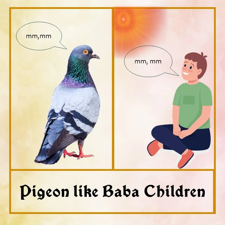 pigeon - Eng.jpg