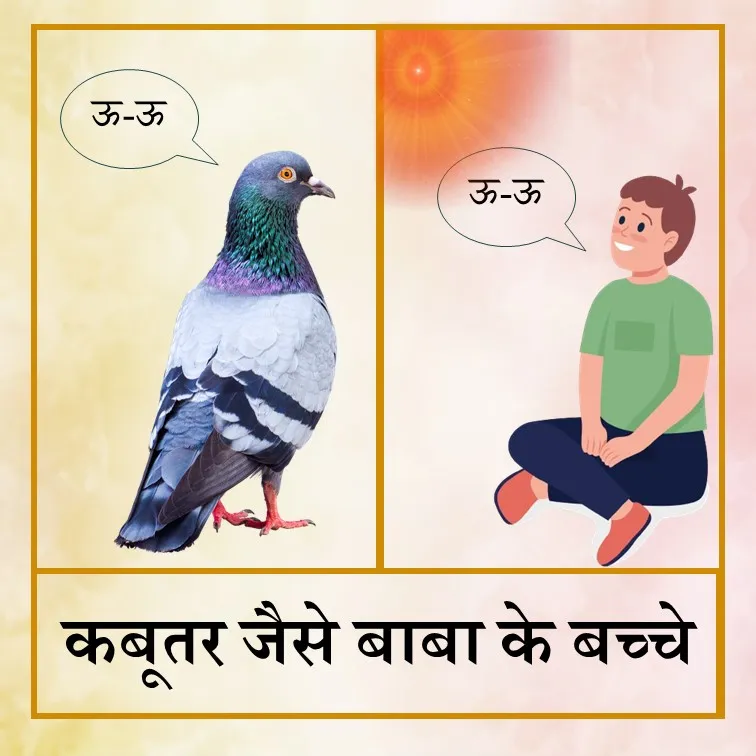 pigeon - Hin.jpg