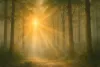 Re-energize with Nature’s Calm