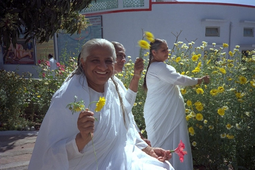 Dadi Prakashmani · Gallery · Dadi Prakashmani ji - Gallery | BKDrive — Brahma Kumaris