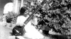 All Mamma Songs with lyrics