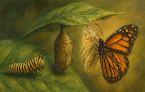 The Butterfly Within : A New Beginning