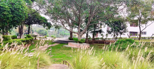 Gulzar dadi garden