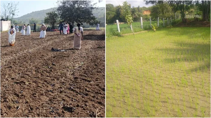 Arogyavan: Healing Land and Nature Through Yogic Agriculture at Madanapalle