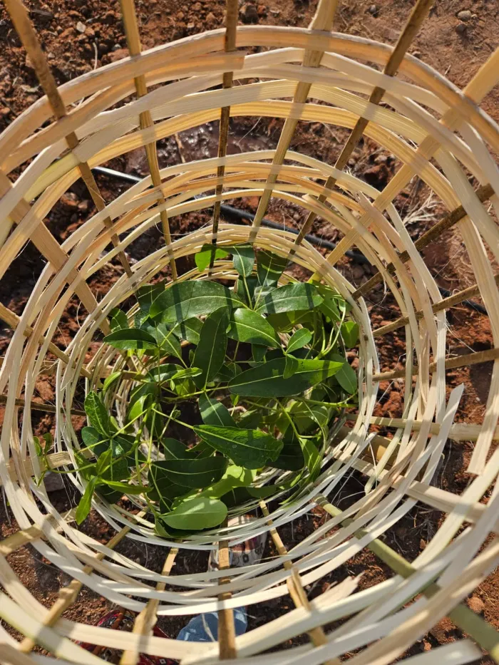 KalpTaruh Value-Based Impact Day in Collaboration with Deloitte India at Coimbatore — gallery photo 6