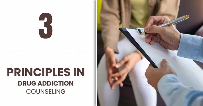 Principles In Drug Addiction Counselling