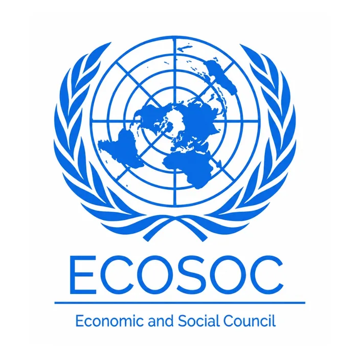 General Consultative Status with the Economic and Social Council (ECOSOC)