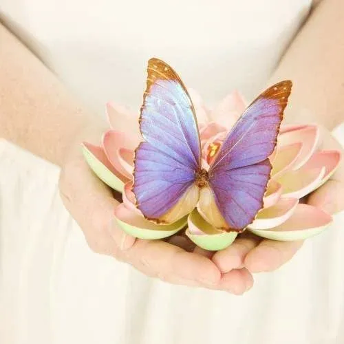 Harmony In Relations