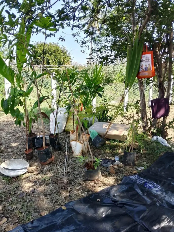 Photo 19