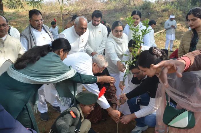 राजकीय महाविद्यालय सिद्धरावली में कल्प-तरुह अभियान के अंतर्गत वृक्षारोपण कार्यक्रम का आयोजन