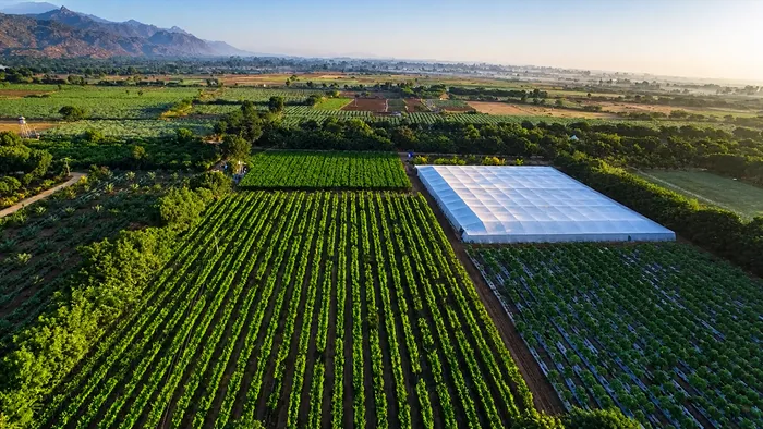Tapovan - Organic Farms