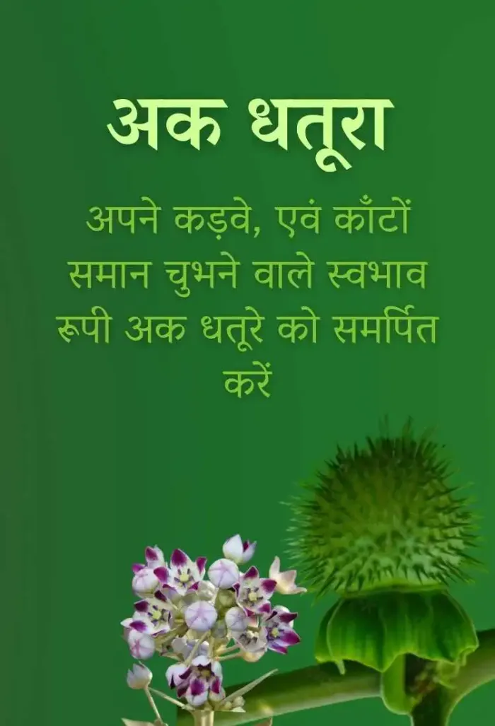 रसमो का आध्यात्मिक महत्व