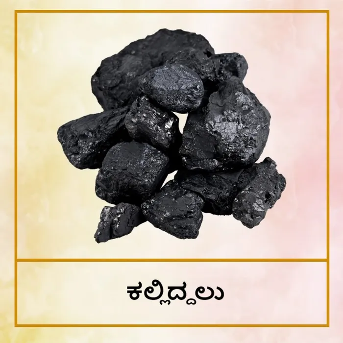 koyala_Kan.jpg
