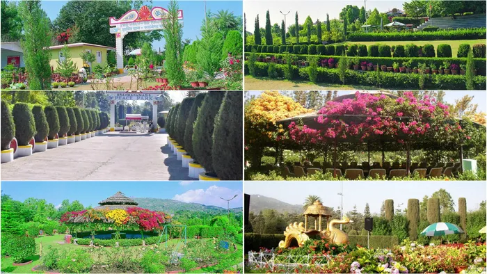 शांति और प्रकृति का संगम: माउंट आबू पीस पार्क की 40वीं माणिक जयंती का उत्सव