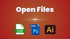 CDR Editable File